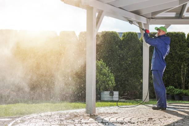 Best Soft Washing  in Avondale, LA